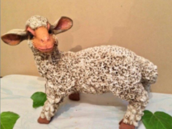 Producto - Oveja (17)