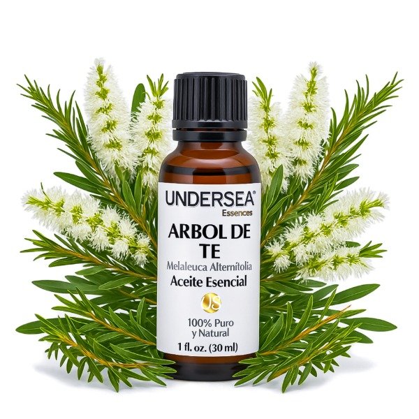 Producto - ACEITE ESENCIAL DE ARBOL DE TE (MELALEUCA ALTERNIFOLIA)