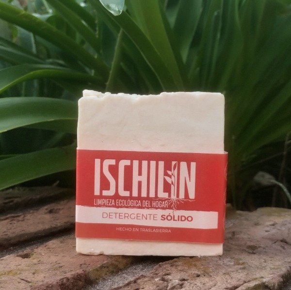 Producto - Detergente Sólido Biodegradable y Pastoril 300 gr - Ischilin