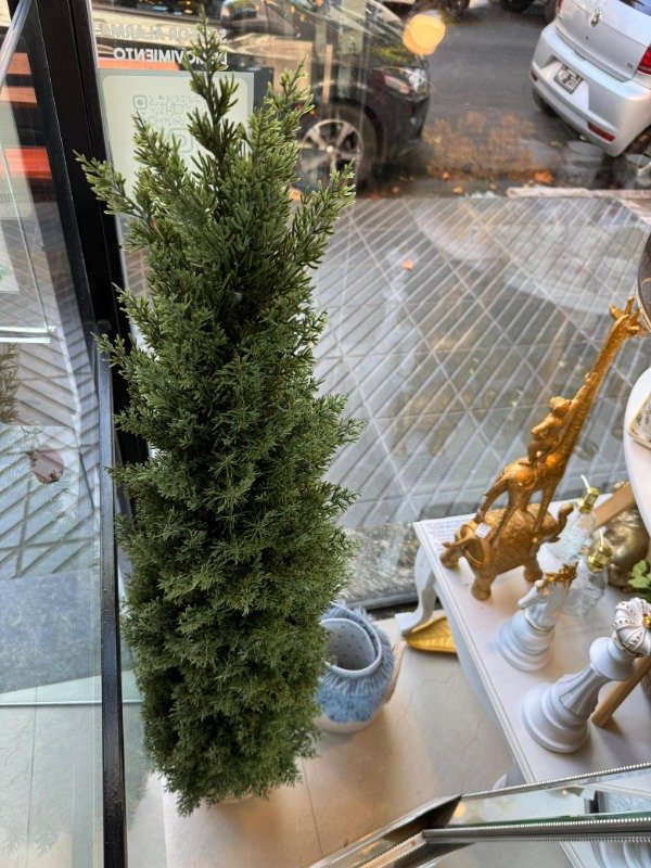 Producto - Planta Thuja 1,50 mts ( Efectivo: 279.920)