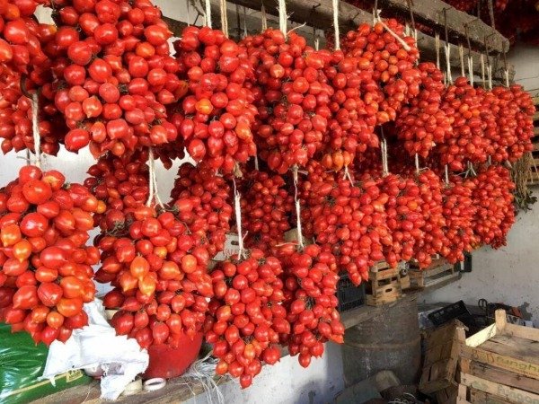 Producto - Tomate vesubio rojo - 1