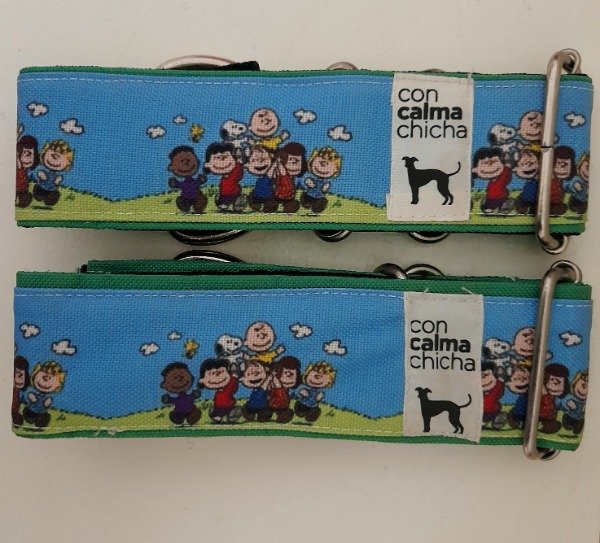 Producto - SNOOPY PARQUE