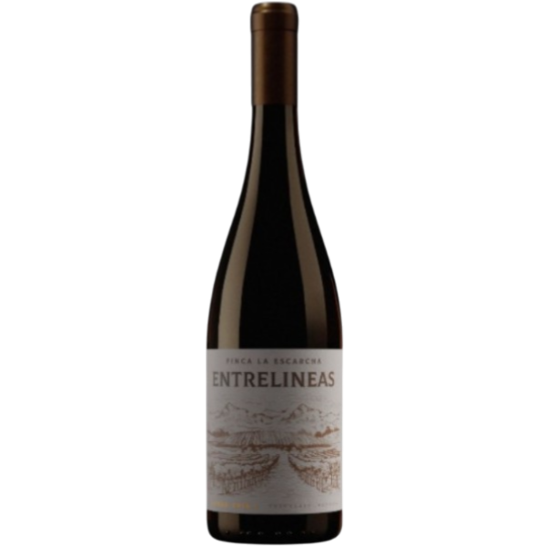 Producto - Finca La Escarcha Entrelineas Syrah Reserva 2019
