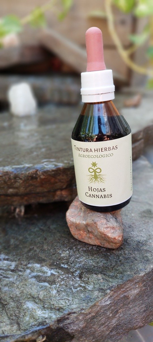 Producto - Hojas de Cannabis agroecologico