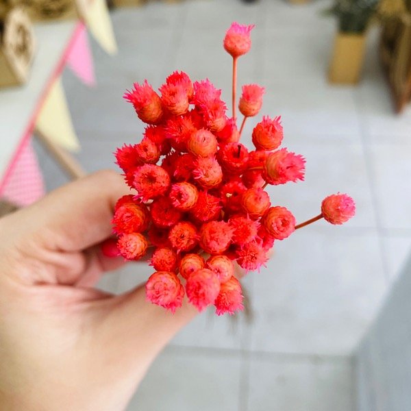 Miniatura de producto - 6