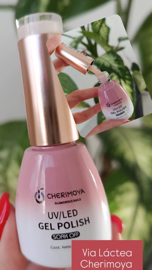 Producto - VIA LACTEA CHERIMOYA