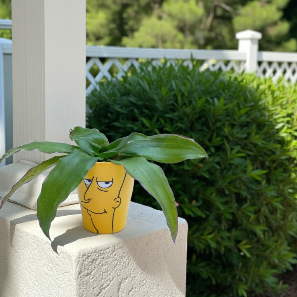 Producto - MACETA DE BARRO BOB PATIÑO