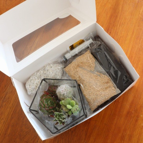 Producto - BOX PENTAGONO