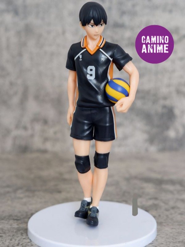 Producto - HAIKYUU 18CM (3383)