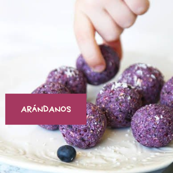 Producto - TRUFAS DE ARÁNDANOS
