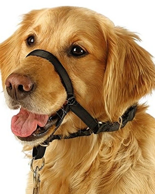 Producto - Bozal para Adiestramiento Anti-Tirones para Perros Medianos y Grandes de Nylon.