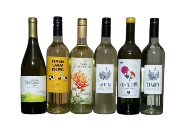 Producto - Promociones - TORRONTES