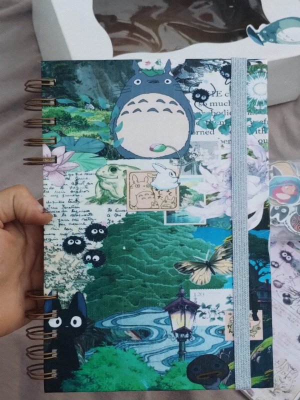 Producto - Box Totoro - 1