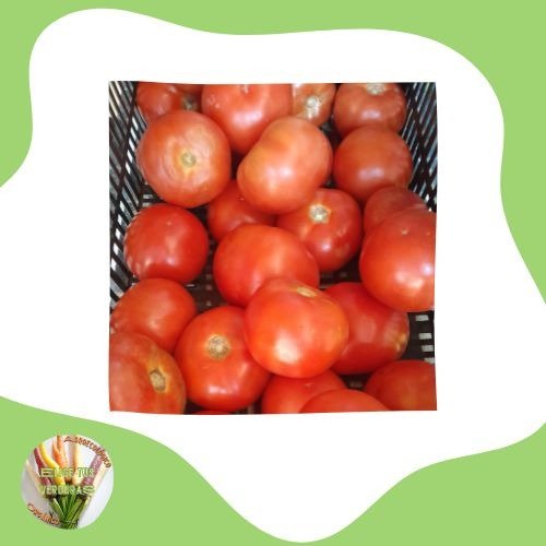 Producto - Tomate redondo - 1kg