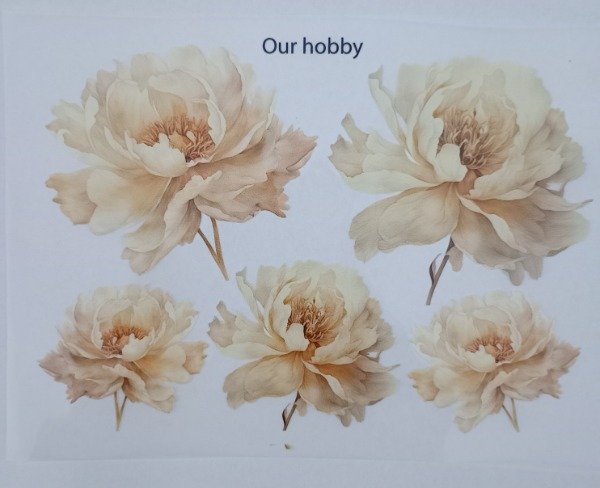 Producto - Transfolex textil FLORES SUELTAS - 3