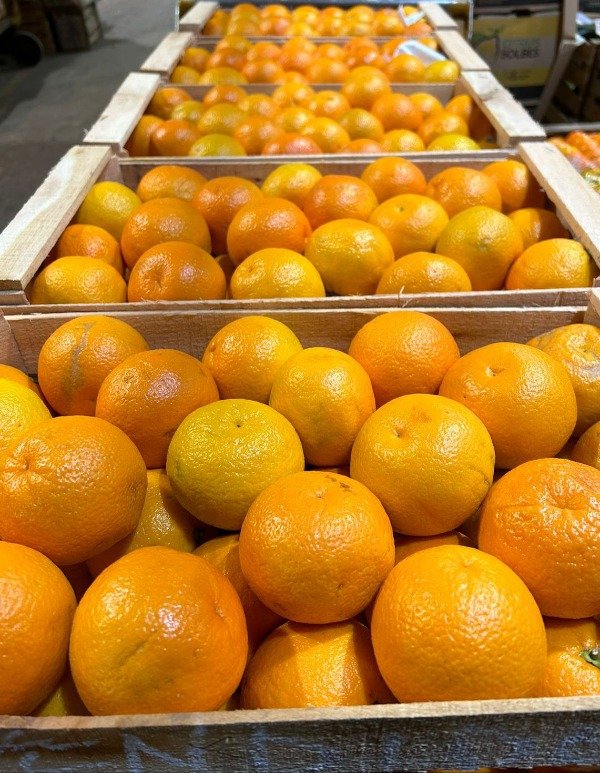 Producto - NARANJA JUGO