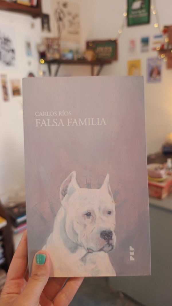 Producto - Falsa familia - Carlos Ríos