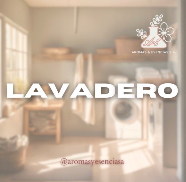 Producto - Lavadero