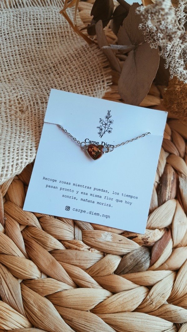 Producto - Nicéfora