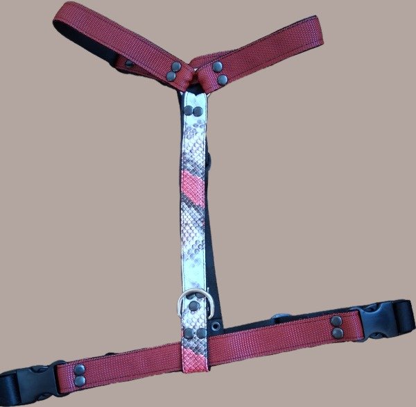 Producto - Arnés H reptil bordo