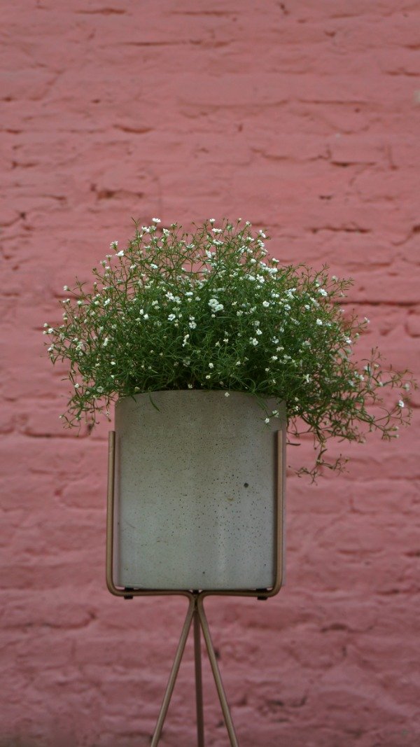 Producto - MATCH - Maceta Cilindro grande con Gypsophila