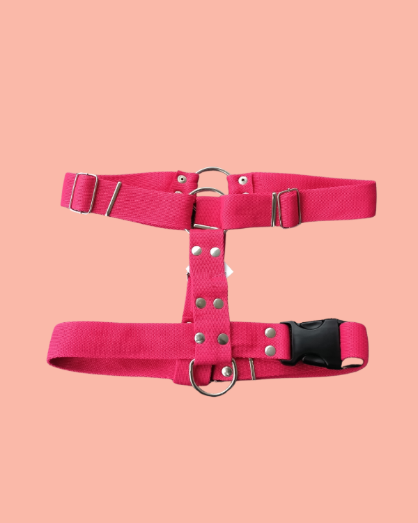 Producto - Pretal en H liso - Talle 4
