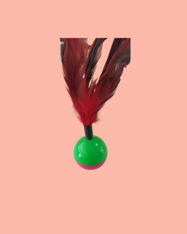 Producto - Cat-Dancer con Plumas