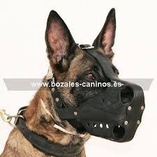 Producto - BOZAL X TALLA PARA PERROS
