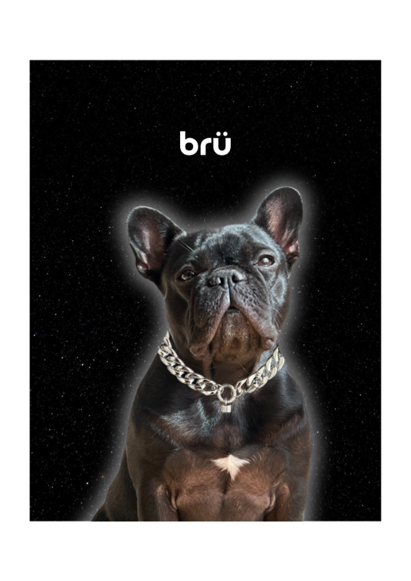 Producto - brü