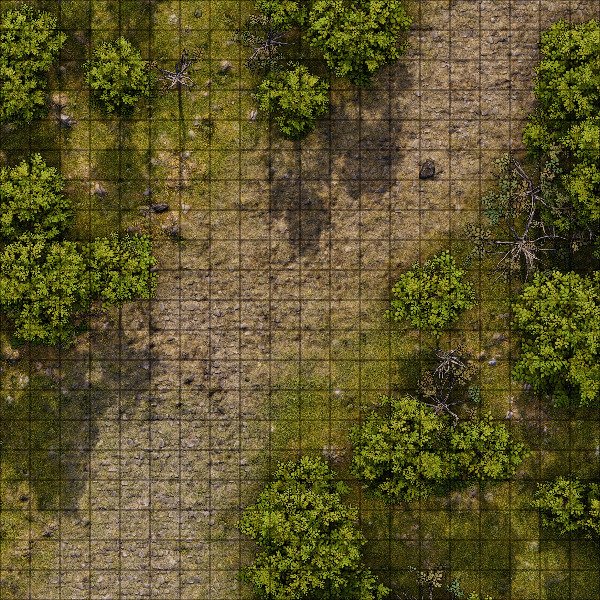 Producto - Camino en el bosque 6