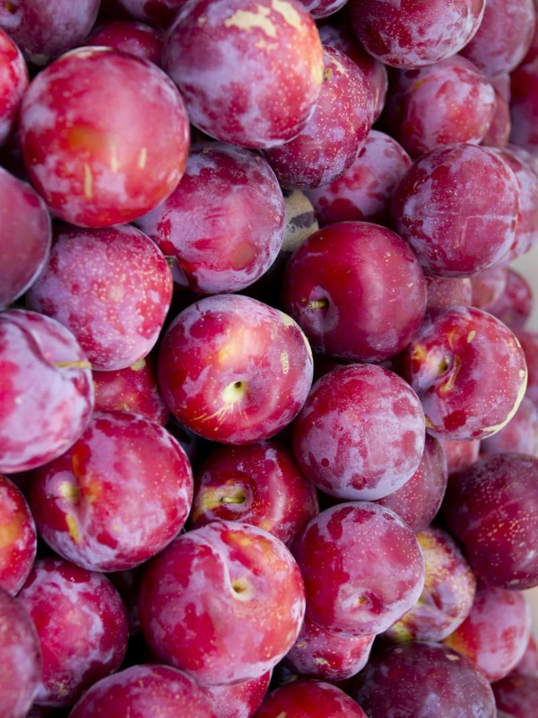 Producto - Ciruelas 1kg