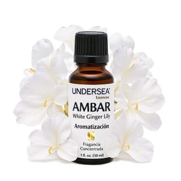 Producto - AMBAR