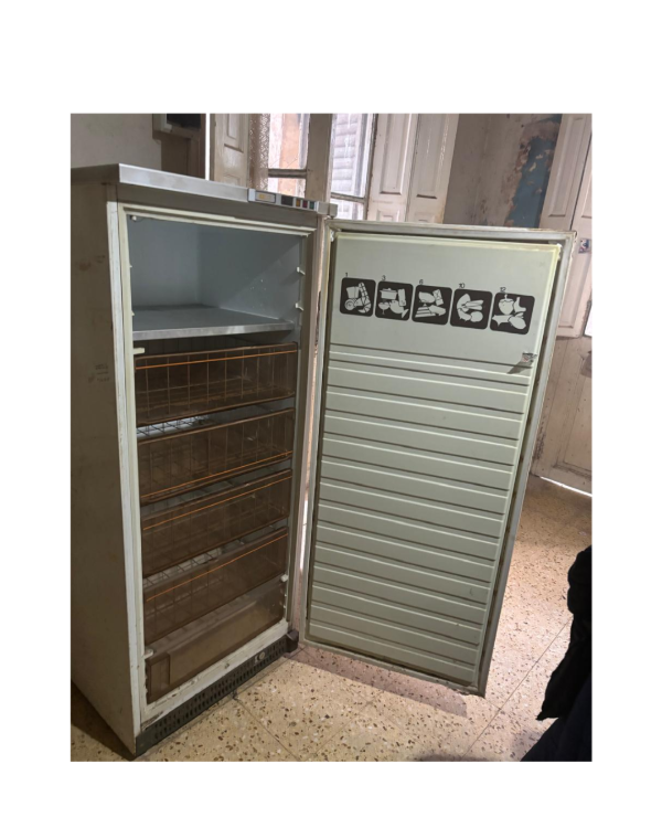 Producto - Freezer vertical Surrey frío seco / 143x60