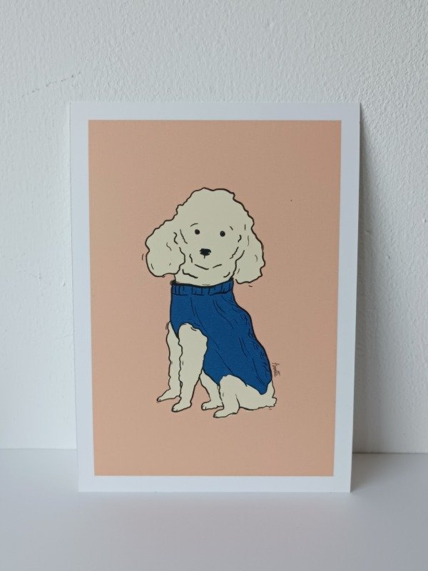Producto - Canish