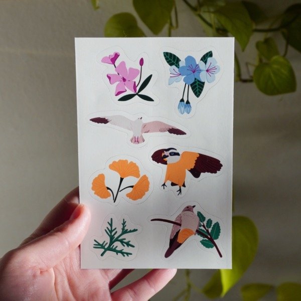 Producto - Stickers BENTEVEO