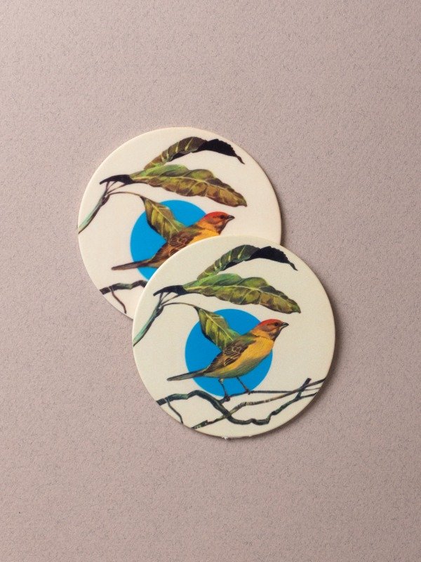 Producto - Posavasos x6 todos iguales
