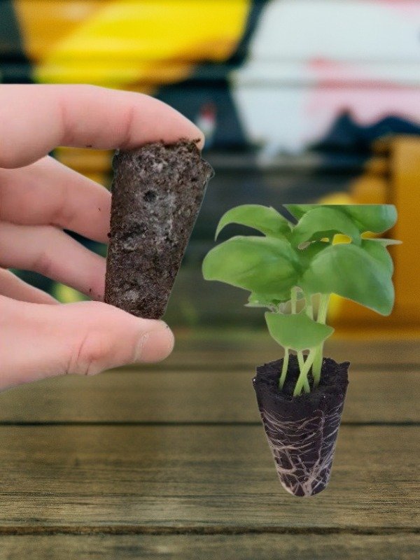 Producto - Turba Prensada Peat Pellets x5