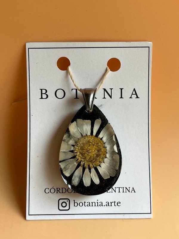 Producto - Margarita 6