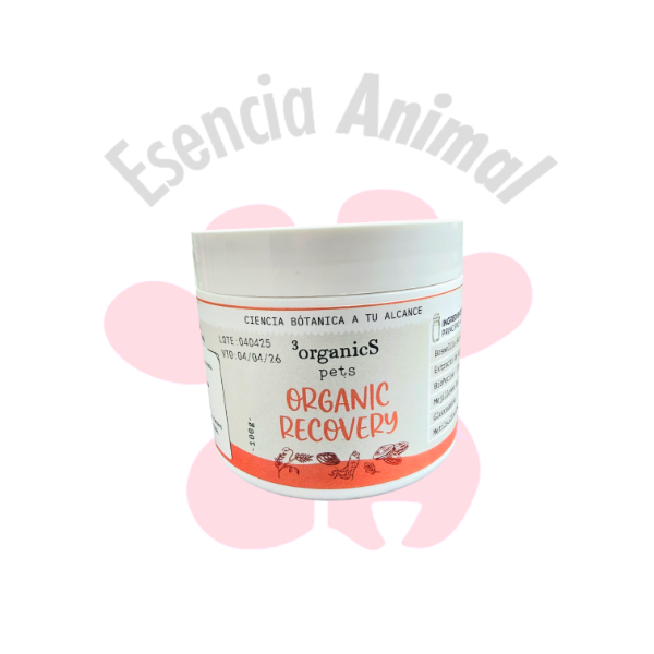 Producto - Suplemento Osteoarticular