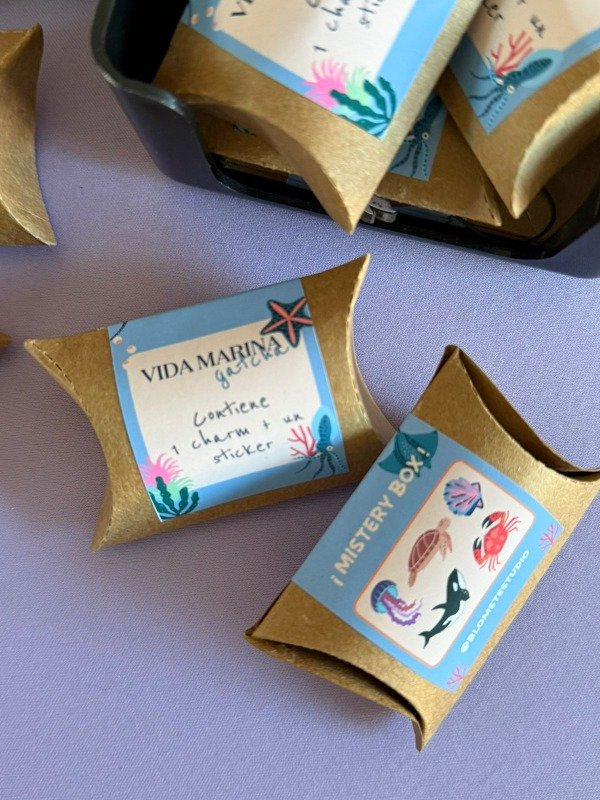 Producto - Mistery box vida marina