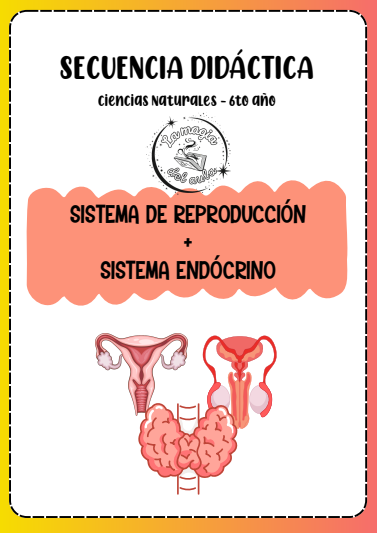 Producto - Secuencia didáctica "Sistema reproductor y endócrino" 6to año