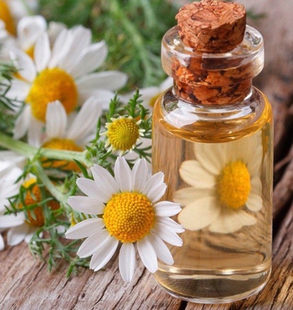 Producto - HIDROLATO DE MANZANILLA