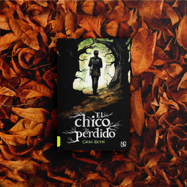 Producto - El chico perdido - Greg Ruth