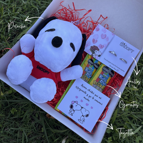 Producto - Box Snoopy
