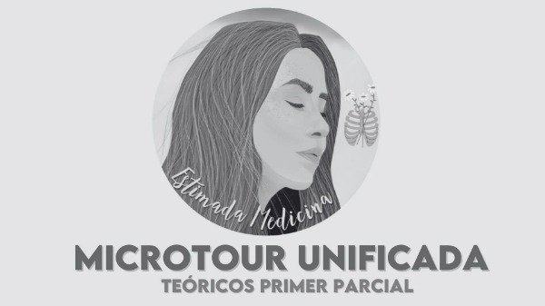 Producto - RESUMEN IMPRESO TEÓRICOS 1P MICRO UNIFICADA (BYN)