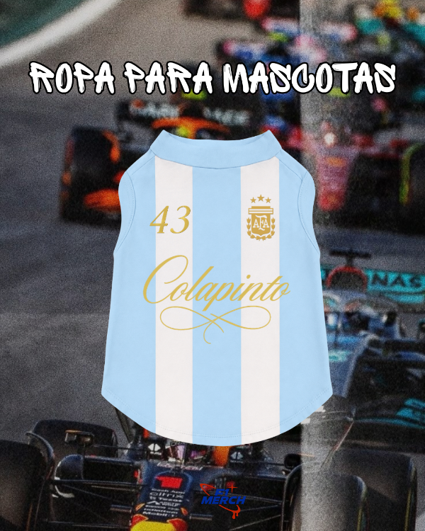 Producto - Chaleco Colapinto Argentina (PEQUEÑO)