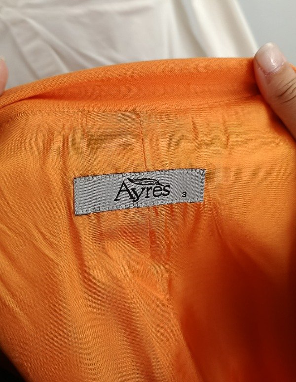 Blazer Ayres — imagen 4