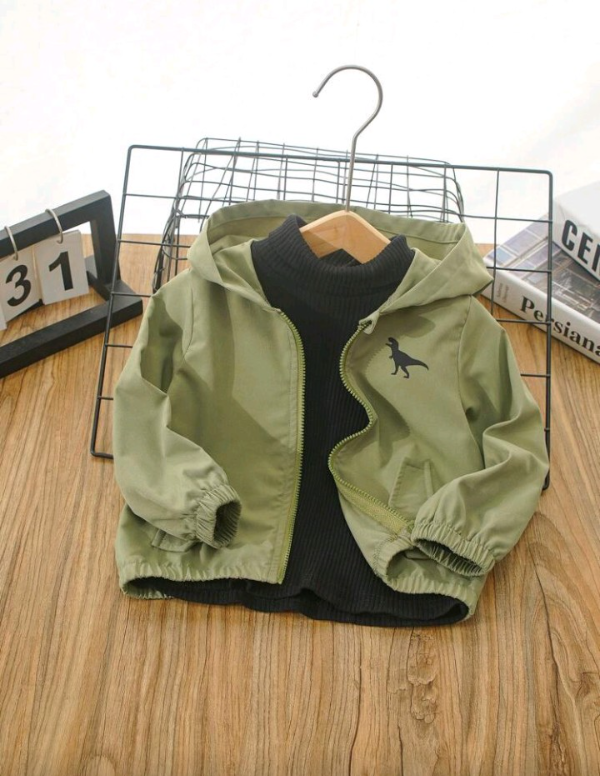 Producto - Campera elegant dino