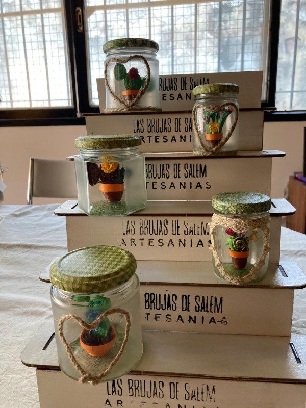 Producto - Cactus
