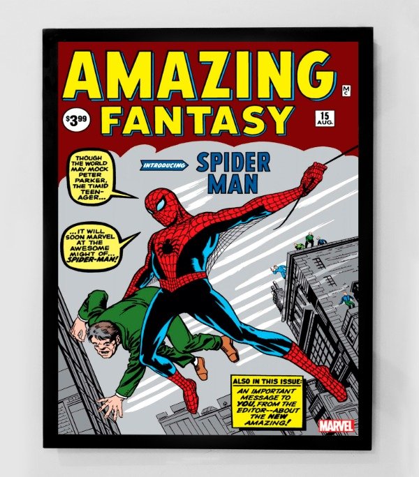 Producto - SPIDER MAN (Nro 15)